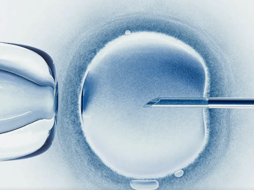 捐献精子进行人工授精的过程和费用解释（含细节）。