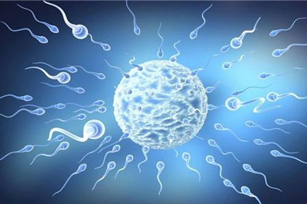 死精子是导致男性不育的一个常见原因。