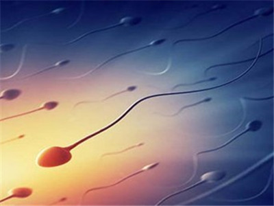 在试管婴儿中创造的2个胚胎的存活率是多少？