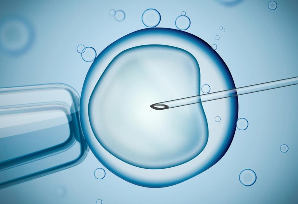 威海供卵试管流程-试管婴儿成功的关键因素