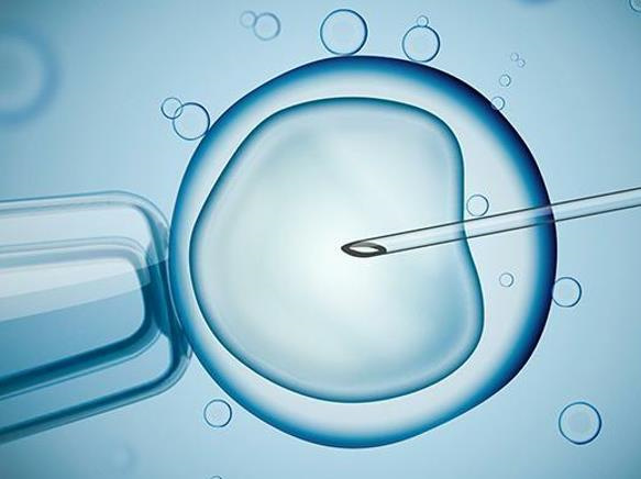 南京做供卵医院：在北京妇产医院用捐赠卵子做试管婴儿有什么优势？如何提高试管婴儿的成功率？