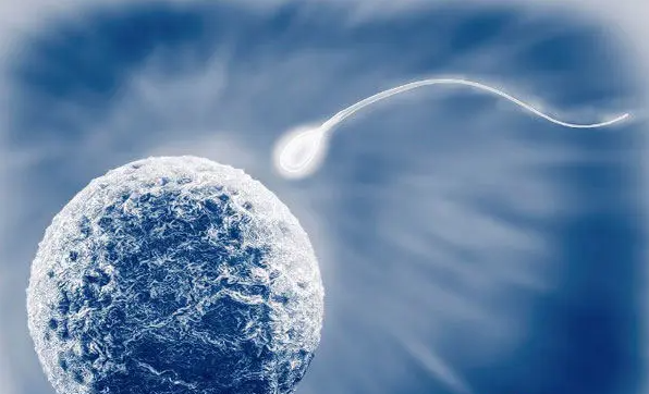 南京男同供卵公司：1个囊胚移植和2个囊胚移植的区别，成功率不同。