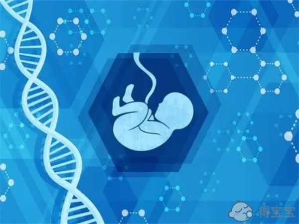 威海捐卵：对于卵巢功能弱的女性来说，上海哪家医院最适合做卵子捐赠？
