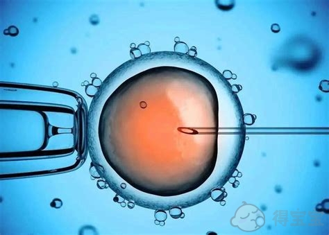 温州供卵试管自怀-胚胎植入的症状因人而异，并非所有的人都能感受到植入和降温
