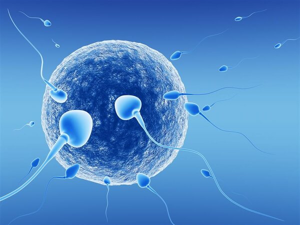 温州助孕生子医院-精子怕热，夏天怎么能给它们降温？